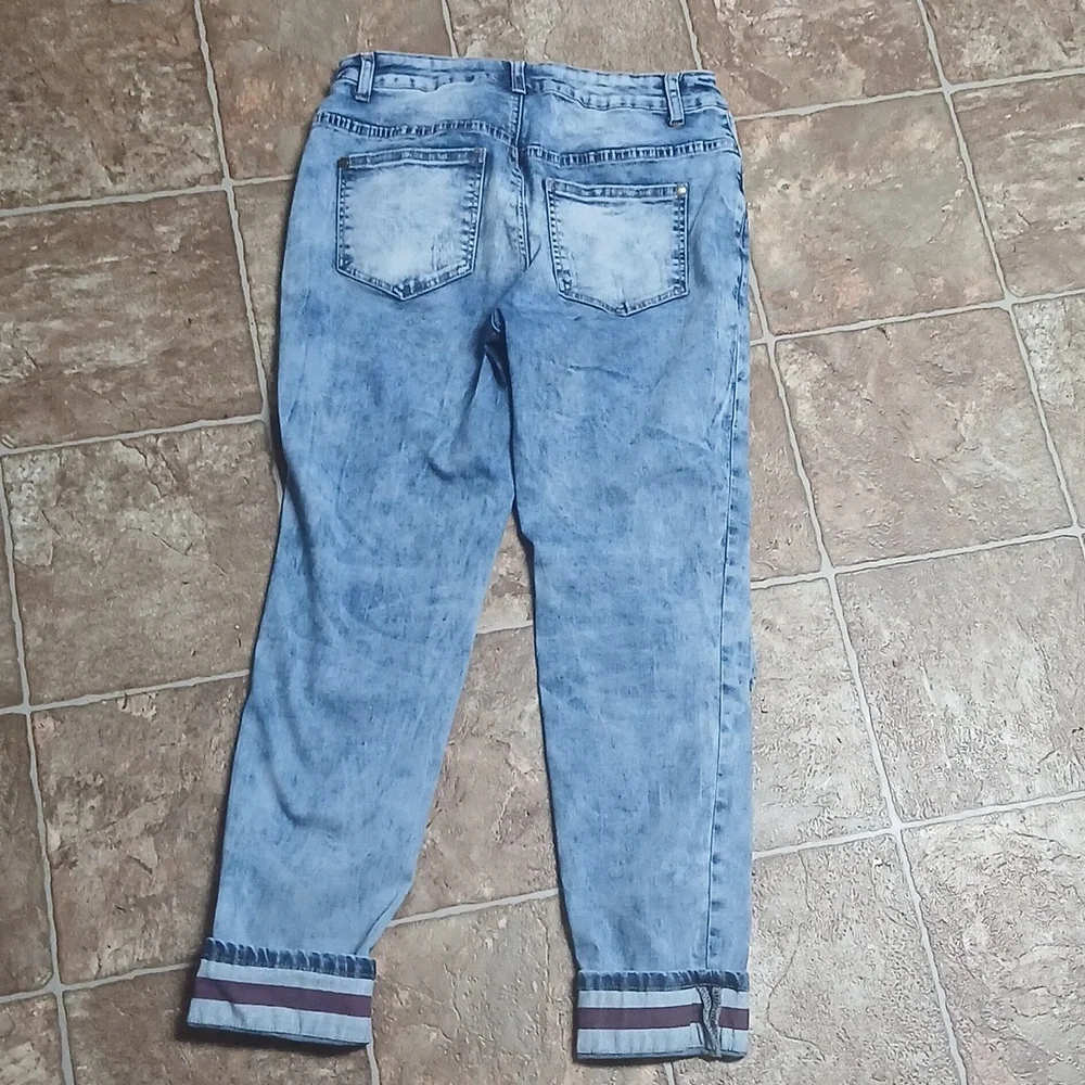 EUC Venus Cropped Flag Pants - Picture 4 of 5